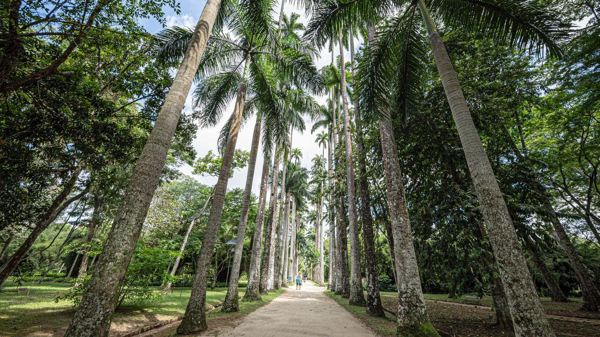 Rio de Janeiro_10